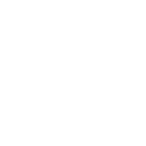 icon 0