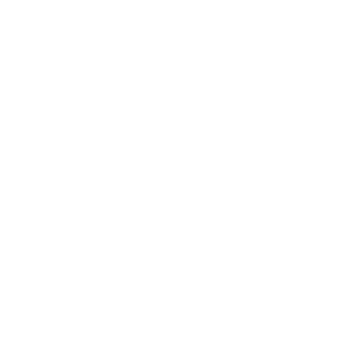 icon 0